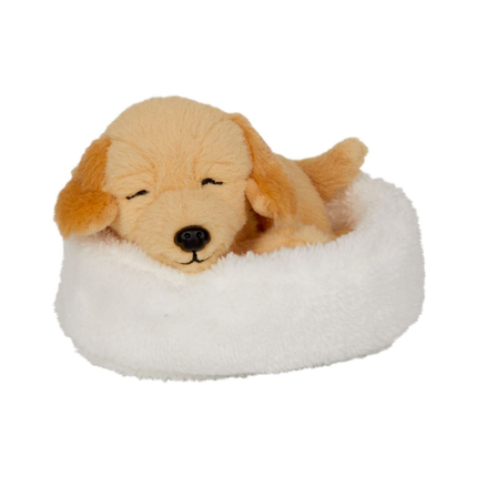 Peluche Isi le chien