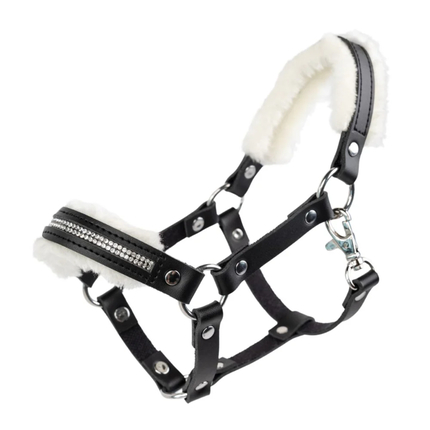 Accessoires My Hobby Horse - Licol, noir