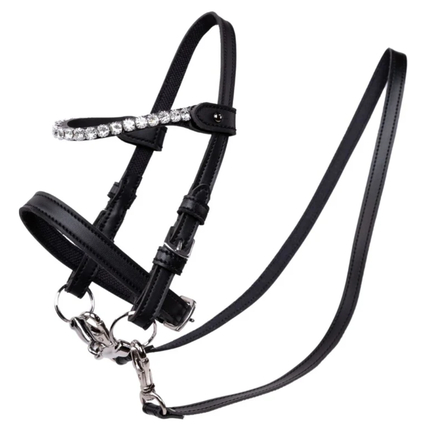 Accessoires My Hobby Horse - Bride, noir