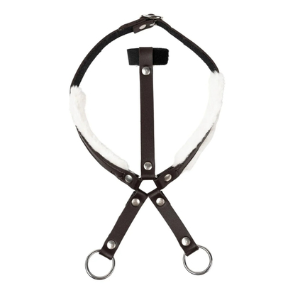 Accessoires My Hobby Horse - Martingale, noir