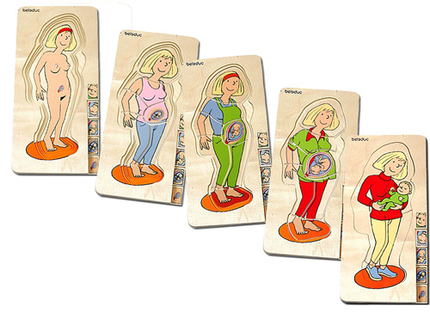 Puzzle Le corps humain - La grossesse