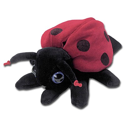 Marionnette à main - Coccinelle