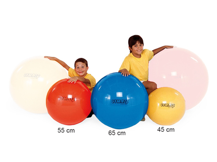 Ballon d’exercice Ø 65 cm, bleu