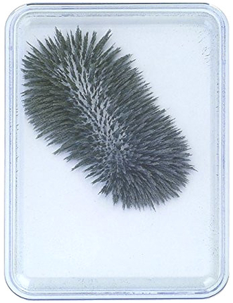 Boîte de limaille de fer magnétique