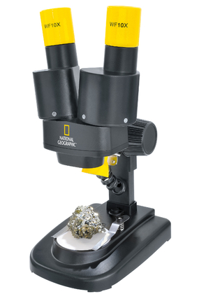 Microscope Stereo 20x