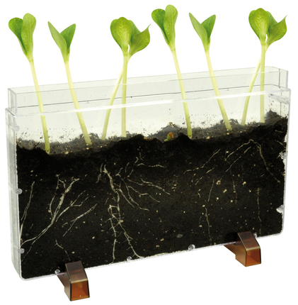 Ferme pour vers transparente