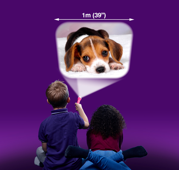 Lampe torche projecteur + diapos - Animaux mignons