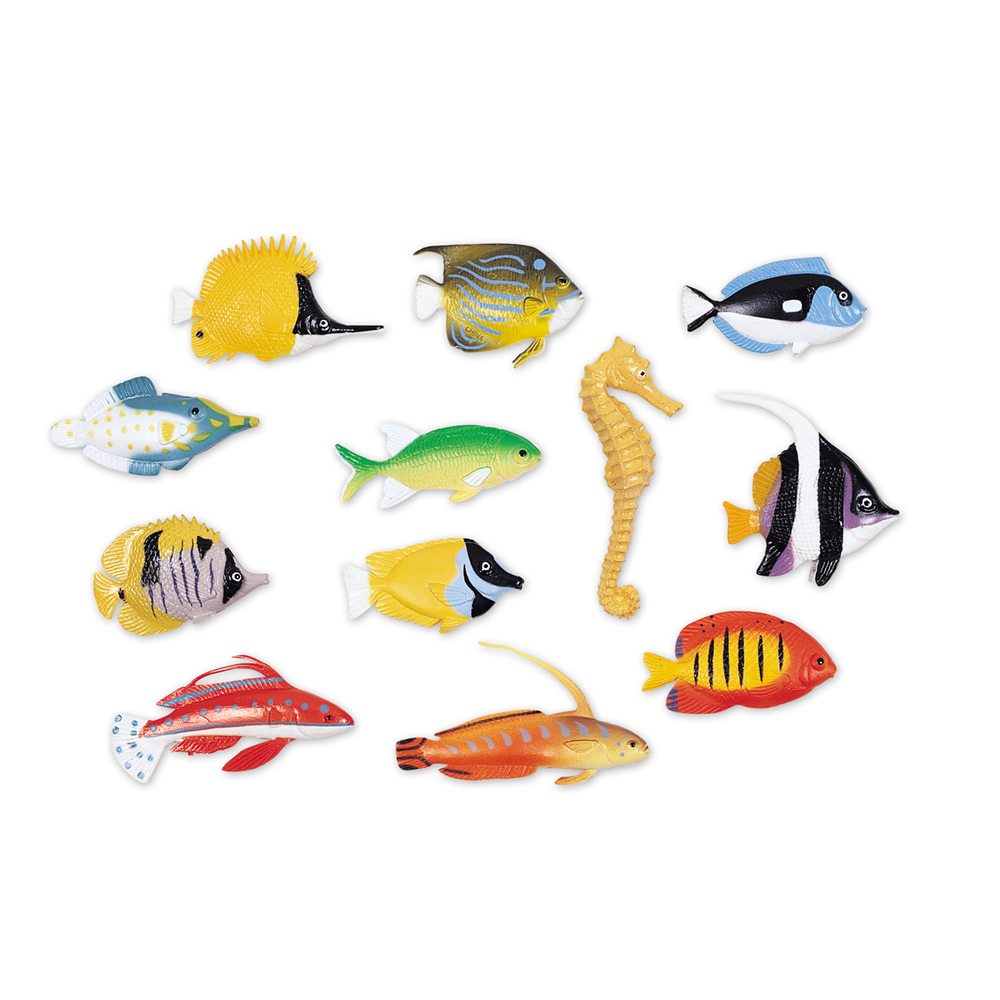 /0/4/0407_fishcounters_sh-2-3.jpg