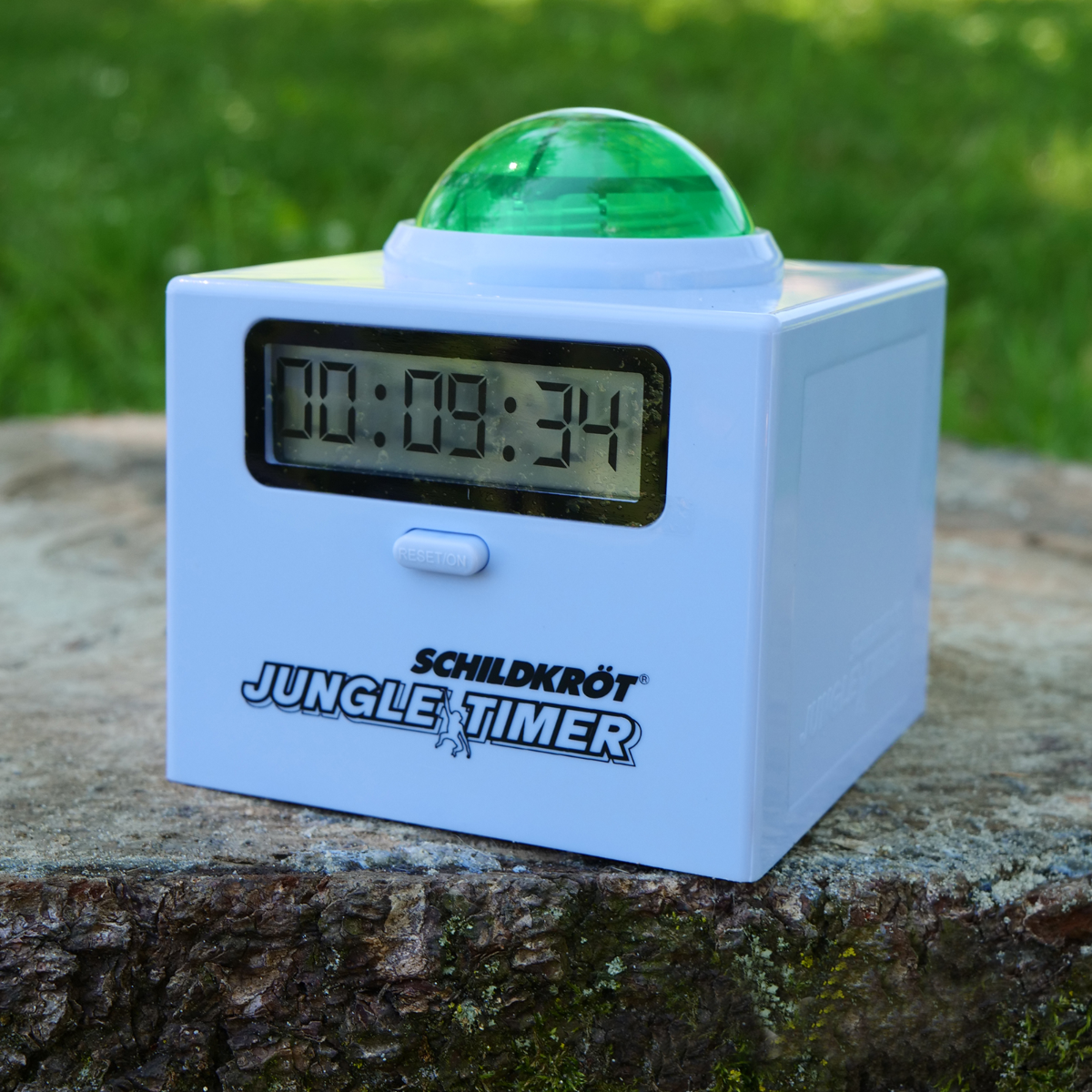 /1/0/1082-970719_-_schildkr_t_3_.png
