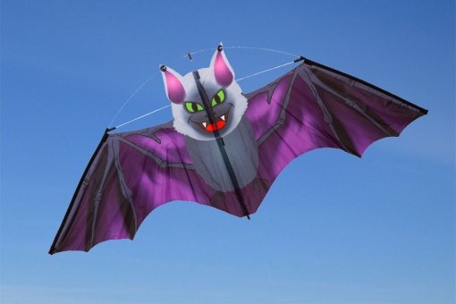 /d/r/drage-flagermus-117x47cm_hq_06-10035_2_.jpg