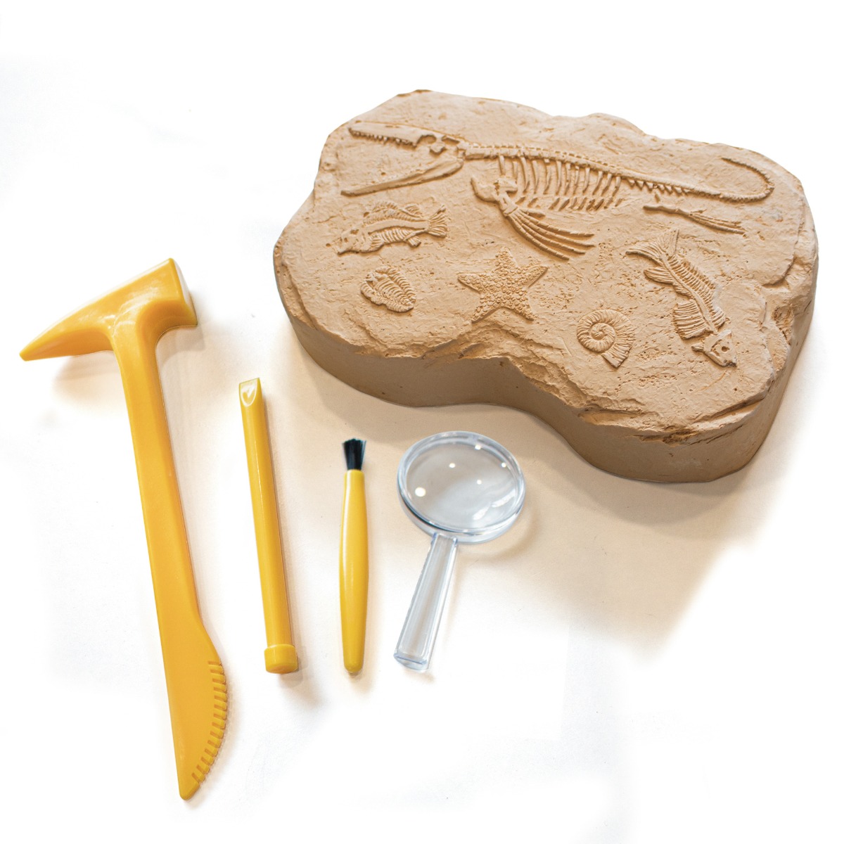 /e/5/e5340_fossil-excavation-kit_product_web.jpg