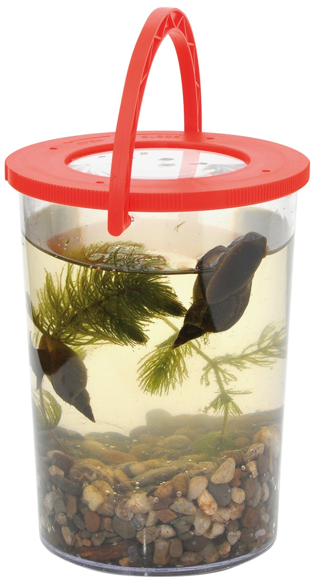 /f/o/forst_rrelsesglas-med-h_ndtag-_9_5cm_eduplay_1024-150085_4_.jpg