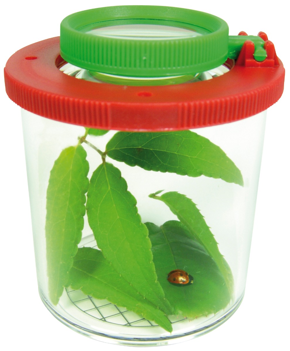 /i/n/insektglas-med-forst_rrelsesglas-_6cm_eduplay_1024-150006_1_.jpg